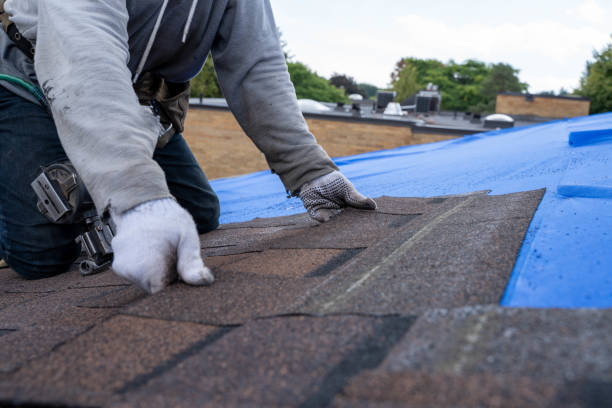 Best Commercial Roofing Services  in Logansport, IN